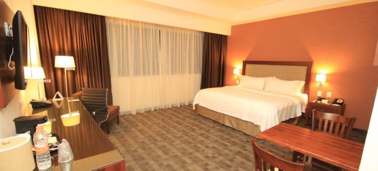 假日酒店-莱昂市长广场(Holiday Inn & Suites Leon Plaza Mayor)图片