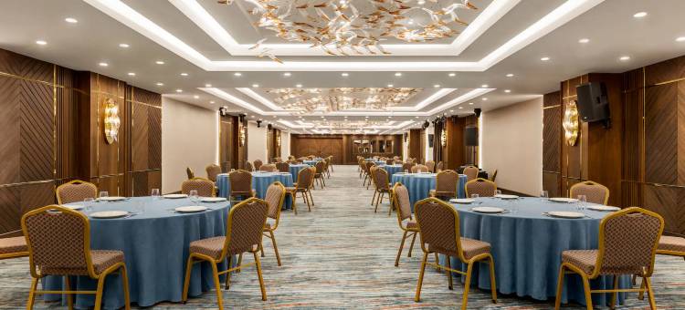 伊斯坦布尔乌姆拉尼耶温德姆华美达酒店(Ramada by Wyndham Istanbul Umraniye)图片