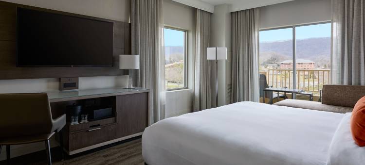 麦德威尔会议度假村及会议中心(MeadowView Conference Resort & Convention Center)图片