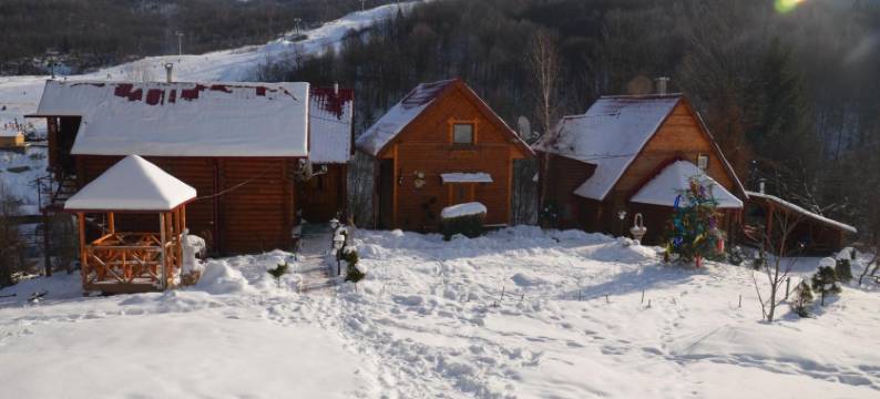 泰利默克招待所(Teremok Guest House)图片