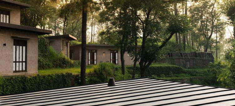 阿玛亚卡苏里(Amaya Kasauli)图片