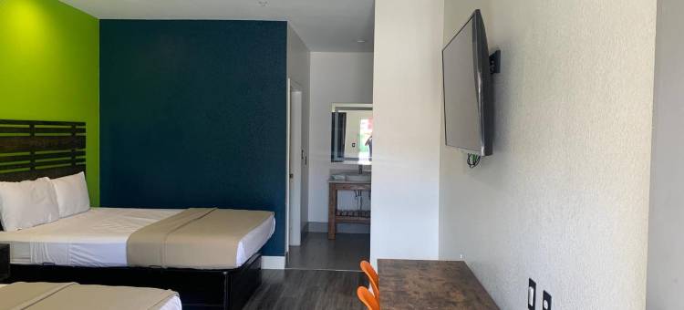 休斯顿格林斯波恩特签名酒店(Signature Inn Houston Greenspoint)图片