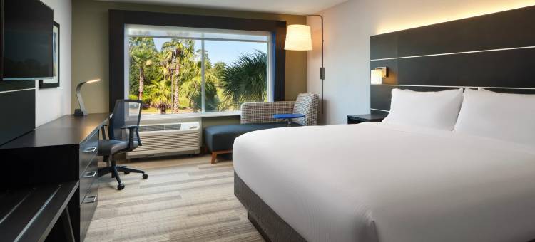 不伦瑞克智选假日套房酒店(Holiday Inn Express & Suites BRUNSWICK by IHG)图片