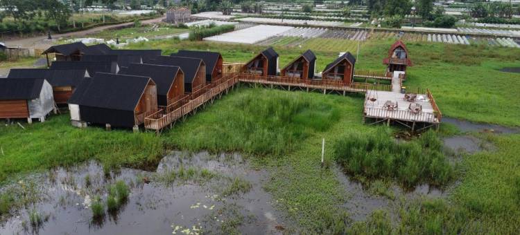 Dynasty Glamping Bedugul图片