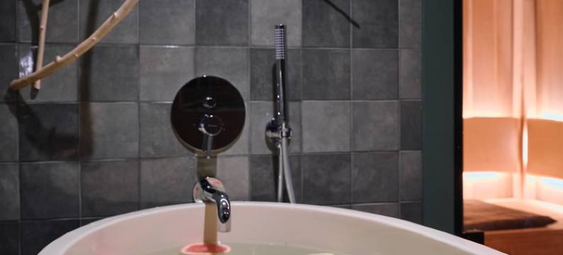 勒斯诺伊乡村别墅酒店(Lesnoy Country House Hotel)图片