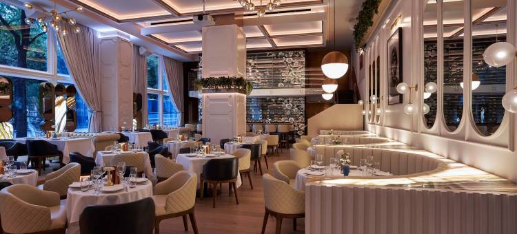 W 达拉斯(W Dallas)图片