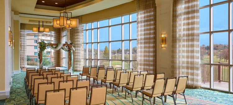 麦德威尔会议度假村及会议中心(MeadowView Conference Resort & Convention Center)图片