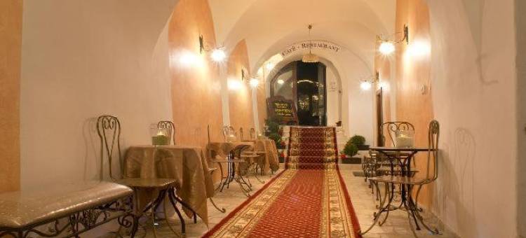 皮塞克城市酒店(Hotel City Pisek)图片
