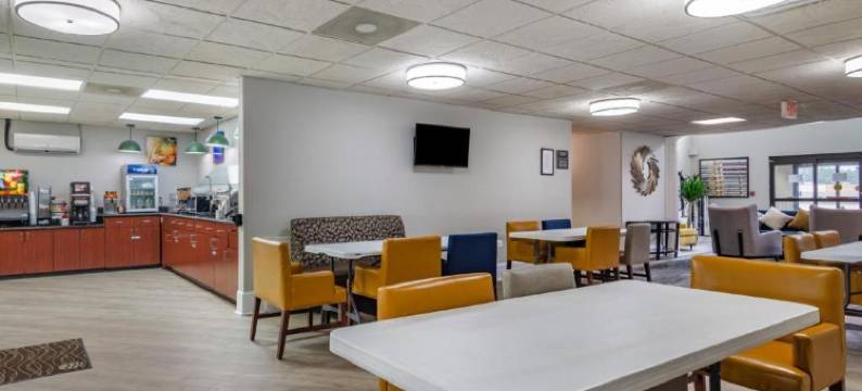 斯通山舒适套房酒店(Comfort Inn & Suites at Stone Mountain)图片