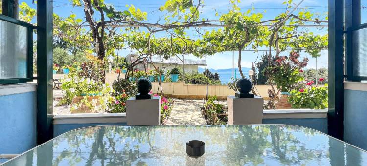 安德罗马切斯假日公寓酒店(Corfu Andromaches Holiday Apartments)图片