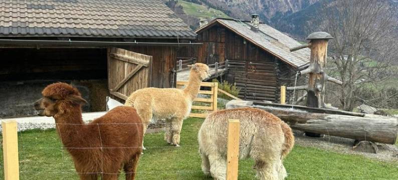 Haus Stabentheiner图片