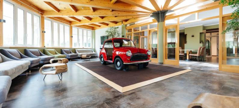 特雷贝辛格霍夫家庭酒店(Familienhotel Trebesingerhof)图片