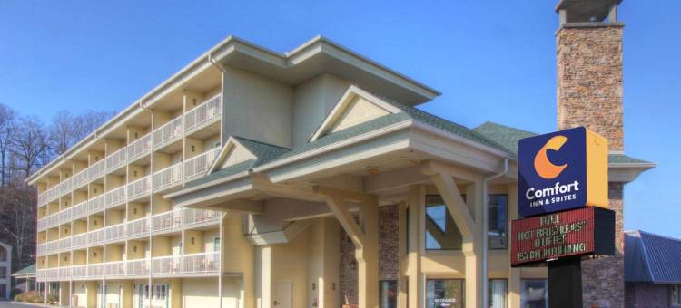 多利伍德街舒适酒店(Comfort Inn & Suites at Dollywood Lane)图片