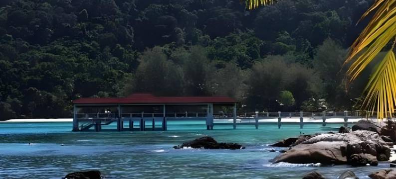 珊瑚景岛度假村(Coral View Island Resort)图片