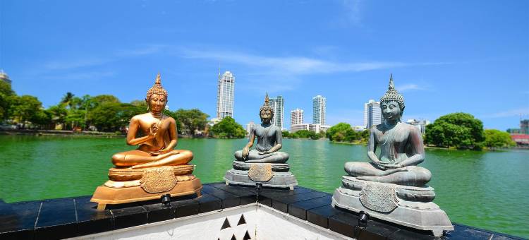 斯里兰卡背包旅馆(Backpack Lanka)图片