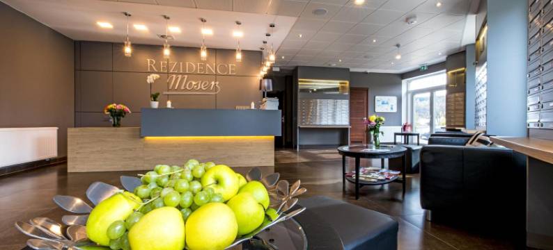 莫泽公寓(Rezidence Moser Apartments)图片