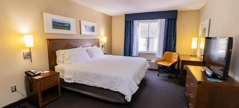 Deer Lake Horizon Hotel图片