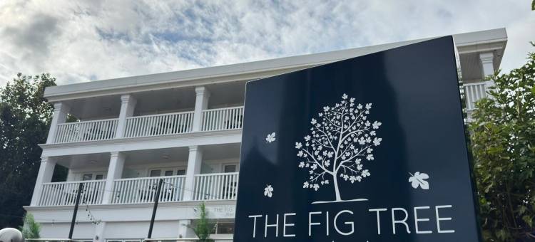 无花果树尚克林酒店(The Fig Tree Shanklin)图片