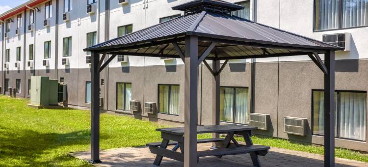 圣克莱尔斯维尔-惠灵Wv区速8酒店(Super 8 by Wyndham St. Clairsville Oh/Wheeling WV Area)图片