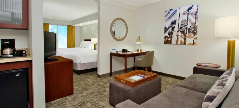 切萨皮克绿蔷薇SpringHill套房(SpringHill Suites Chesapeake Greenbrier)图片
