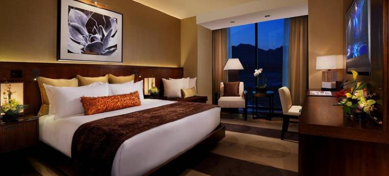 阿利特 酒店(Aliante Casino & Hotel)图片