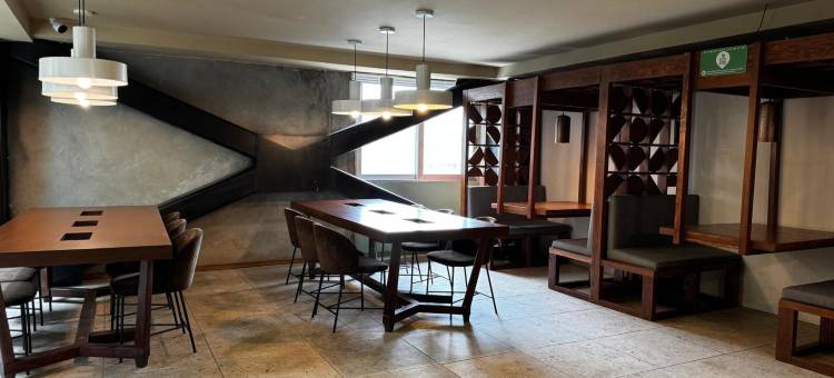 瓜达拉哈拉赛琳娜酒店(Hotel Olá Chapultepec)图片