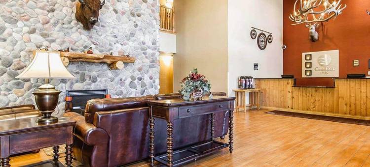 瓦通纳近医学中心舒适酒店(Comfort Inn Owatonna Near Medical Center)图片