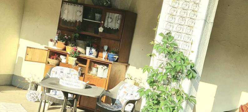 富斯罗尔旅馆(Gästehaus Fuchsröhre)图片