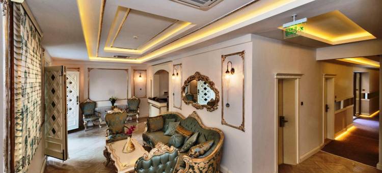泽伊内普苏丹酒店(Zeynep Sultan Hotel)图片