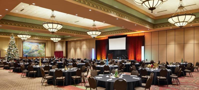 湖上度假酒店及会议中心(Chateau on the Lake Resort Spa and Convention Center)图片