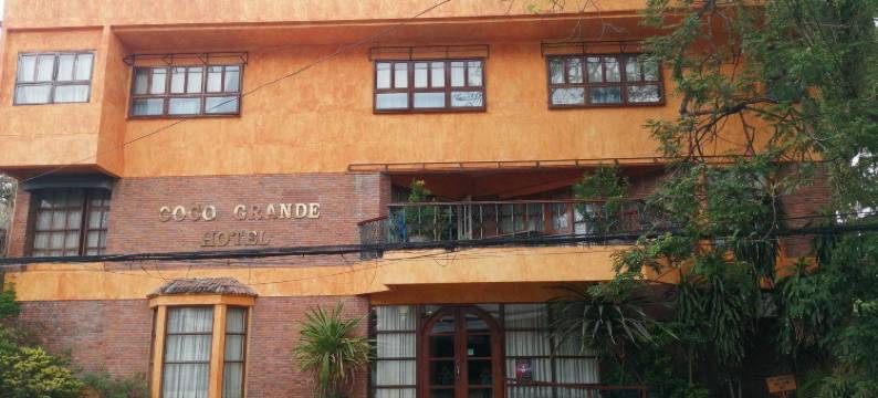 可可大酒店(Coco Grande Hotel)图片