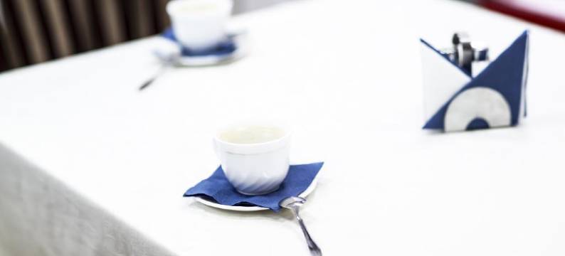 维加商务酒店(Hotel Vega Business)图片