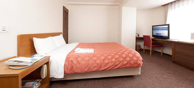 久米川翼酒店(Kumegawa Wing Hotel)图片