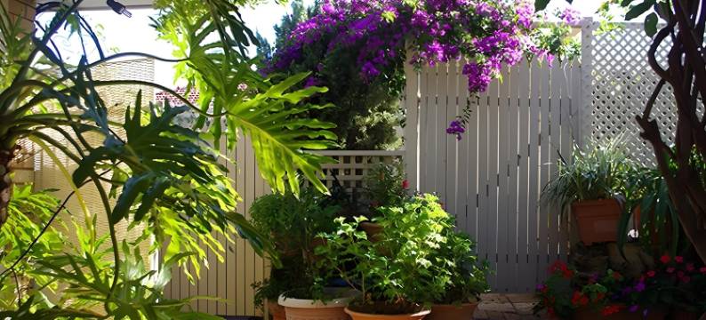 埃斯托莉雅B&B酒店(Astoria Retreat Bed & Breakfast)图片