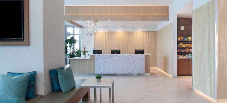 萨拉索塔希尔顿安泊酒店(Embassy Suites by Hilton Sarasota)图片