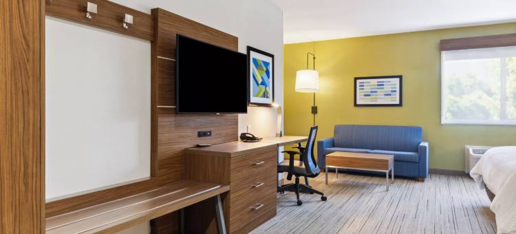 山景城硅谷智选假日套房酒店(Holiday Inn Express & Suites MOUNTAIN VIEW SILICON VALLEY by IHG)图片