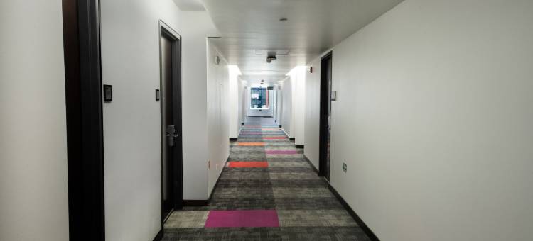 D Sabana Hotel San Jose图片