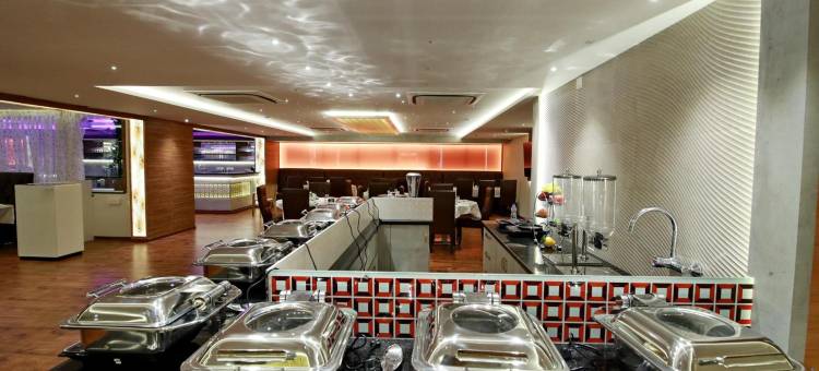 达文盖雷南星酒店(Southern Star,Davangere)图片