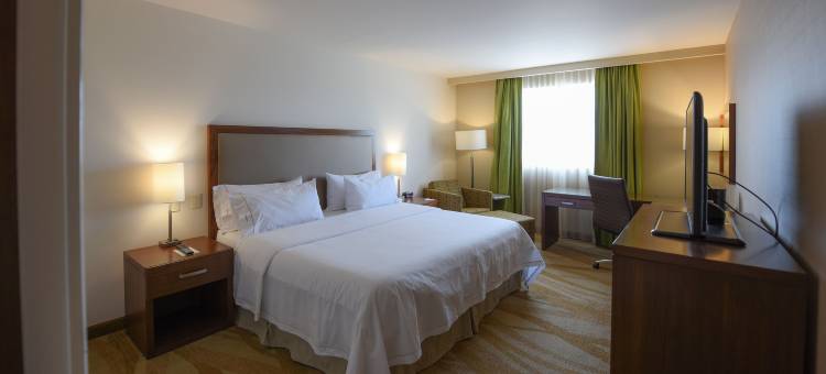 智选假日套房酒店-塞拉亚(Holiday Inn Express & Suites Celaya)图片