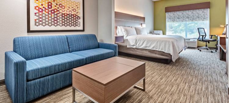 智选假日套房酒店苏黎世湖，巴林顿(Holiday Inn Express & Suites Lake Zurich-Barrington)图片