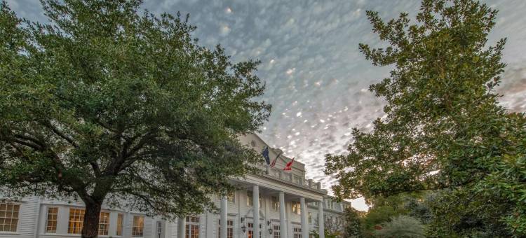 威尔科克斯酒店(The Willcox)图片