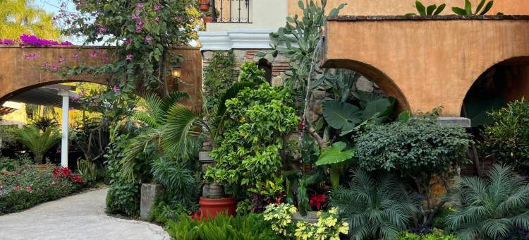 梅松德拉斯德利西亚斯(Mesón de las Delicias)图片