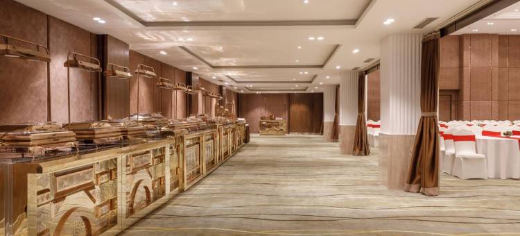 皇家郁金香加德满都(Royal Tulip Kathmandu)图片