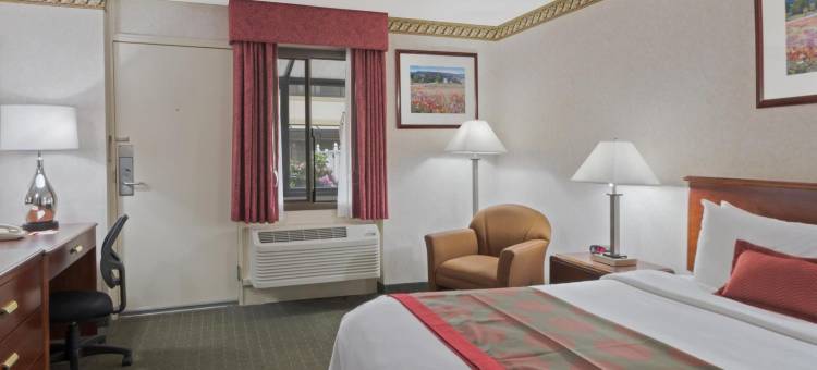 波士顿华美达酒店(Ramada by Wyndham Boston)图片