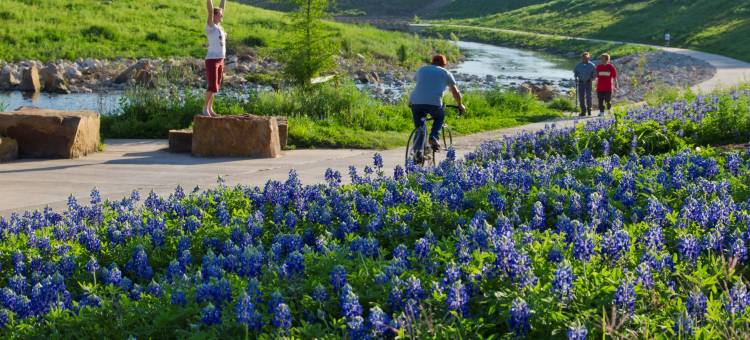圣安东尼奥河滨万怡酒店(Courtyard San Antonio Riverwalk)图片
