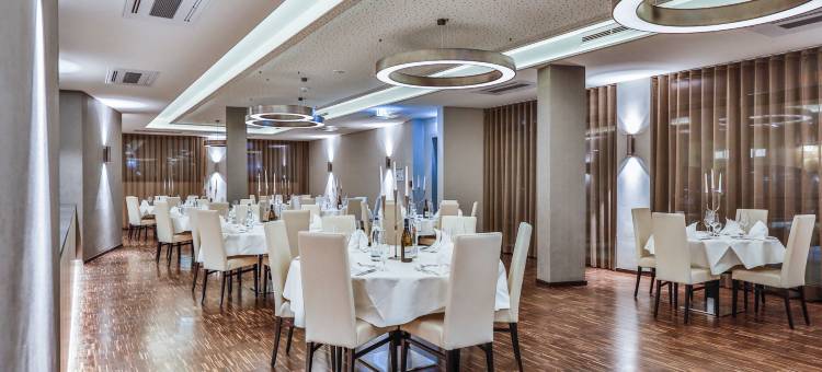 菲林根-施文宁根假日酒店(Holiday Inn Villingen - Schwenningen)图片