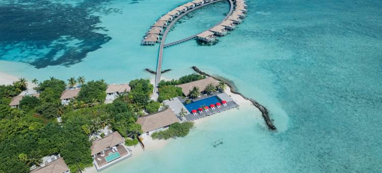 马尔代夫诺库洲至奢选酒店(Noku Maldives, Vignette Collection)图片