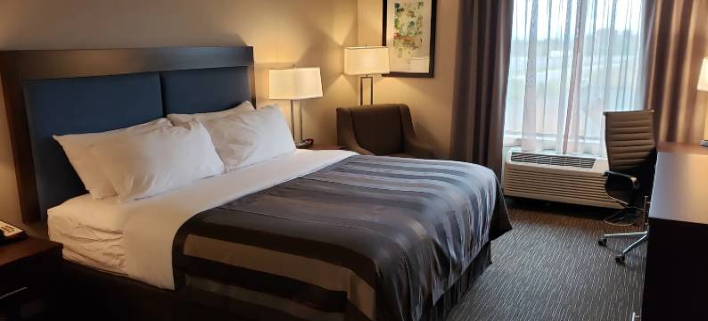 克里斯琴斯堡酒店蔚景温德姆酒店(Wingate by Wyndham Christiansburg)图片