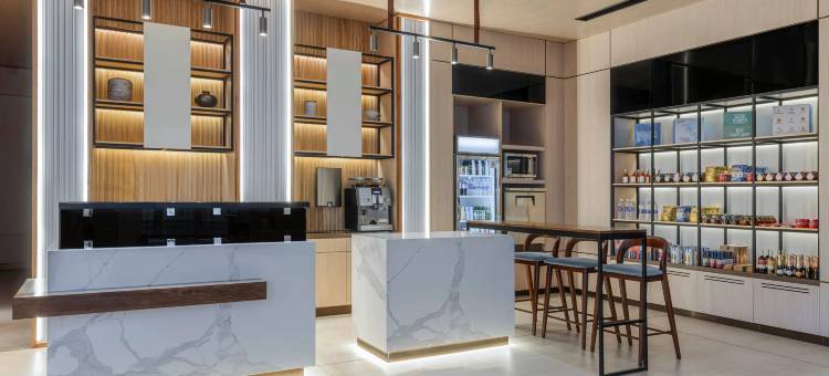 AC旧金山荷塞机场贝伦酒店(AC Hotel San Jose Airport Belen)图片