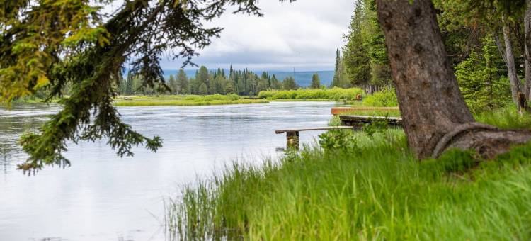 黄石公园-岛屿公园万豪SpringHill Suites 酒店(SpringHill Suites Island Park Yellowstone)图片